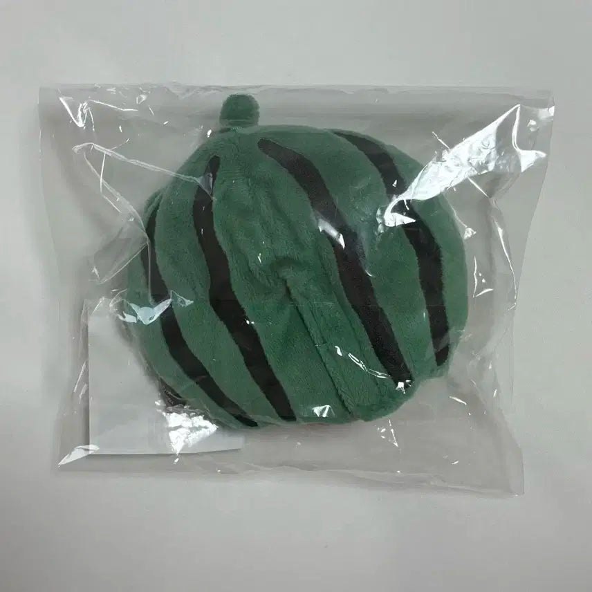 데이식스 전국투어 광주 MD 수박옷