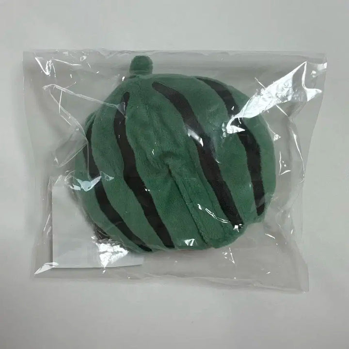 데이식스 전국투어 광주 MD 수박옷