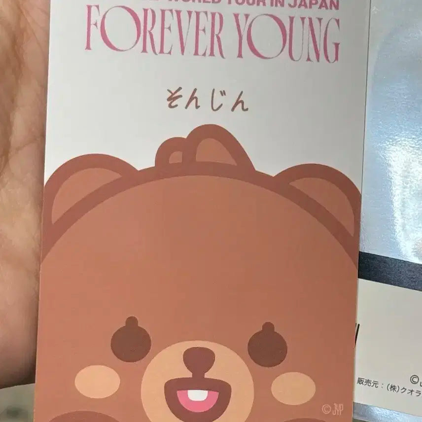 데이식스 일본 요코하마 굿즈구매 포카 성진