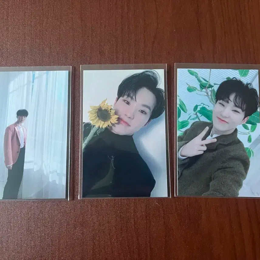 세븐틴 호시 공방포카 판매