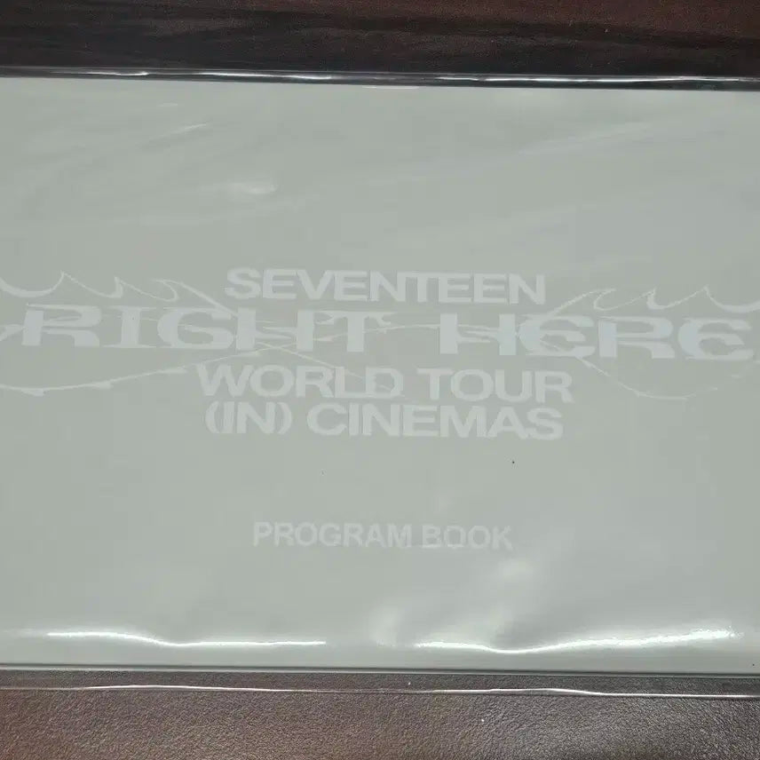 세븐틴 라잇히어 시네마 프로그램북