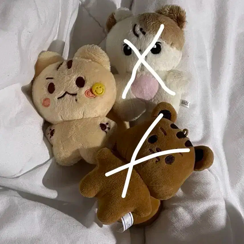 더보이즈 큐 지창민 인형 큐크림 양도 판매합니다