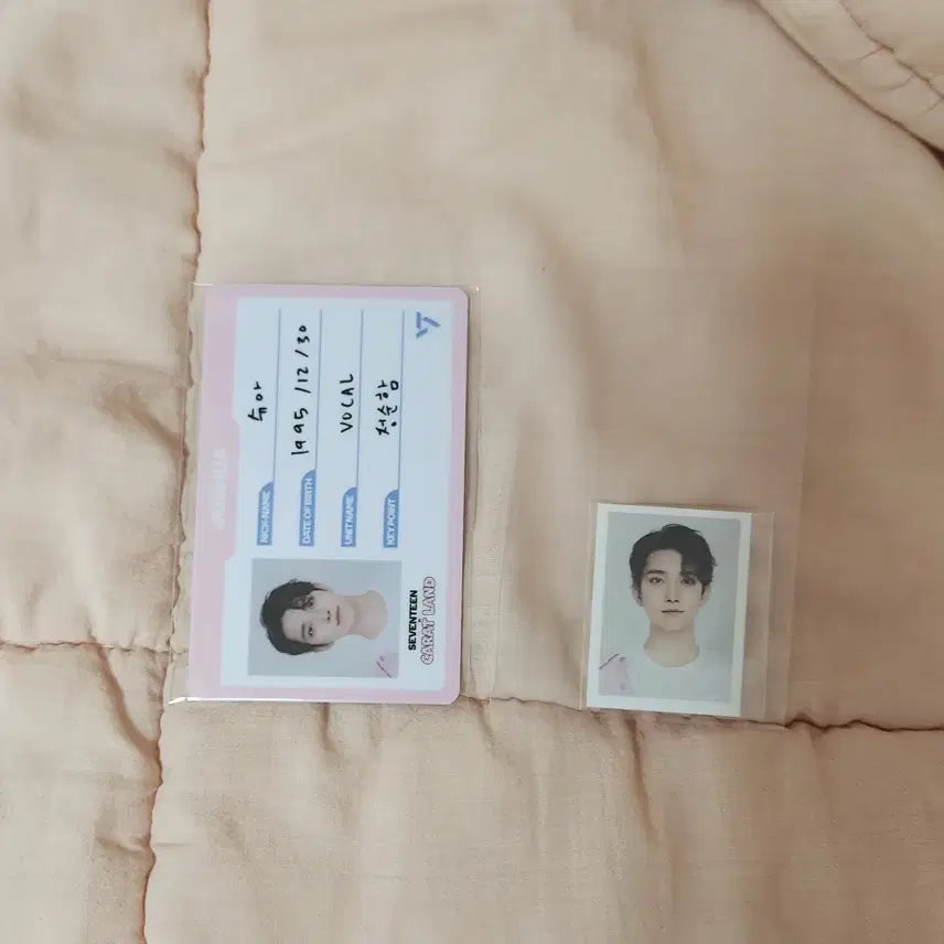 세븐틴 캐럿랜드 캐랜 조슈아 아이디카드 포카 포토카드