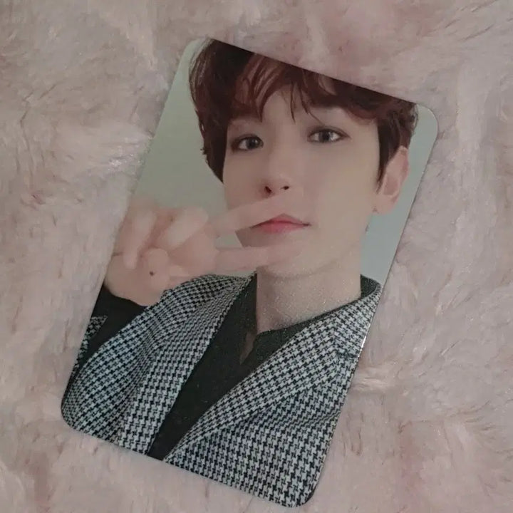 엑소엘 에이스 웰컴 키트 백현 포카 EXO-L welcome ace