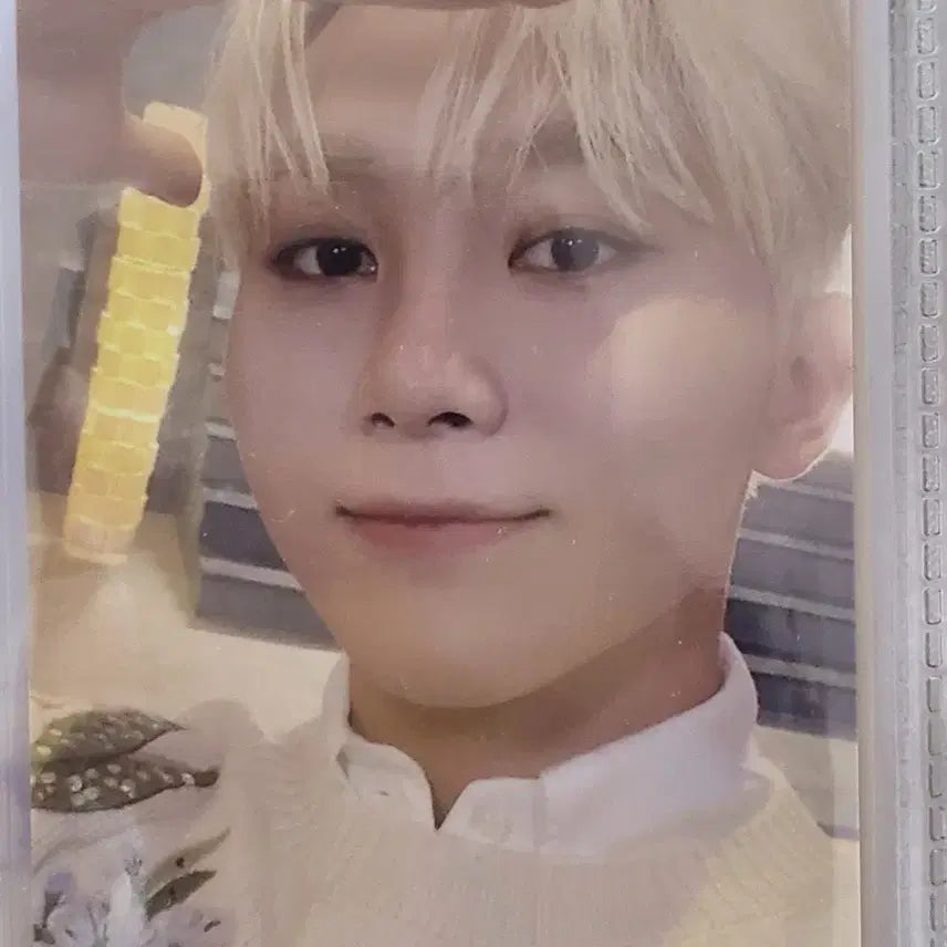 세븐틴 월투 비더썬 승관 포카