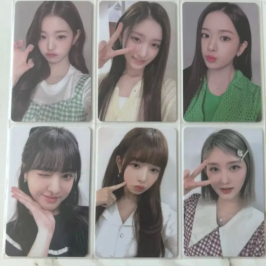 아이브 파파존스 2차 일괄