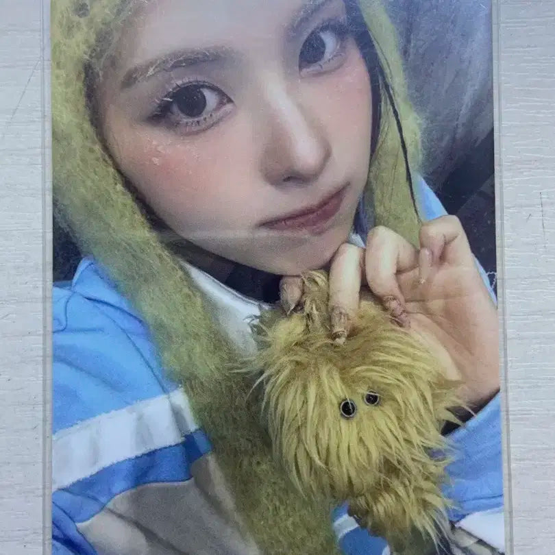 엔믹스 대쉬 배이 포카 양도