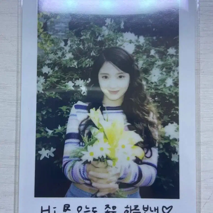 엔믹스 3집 지우 폴라 양도