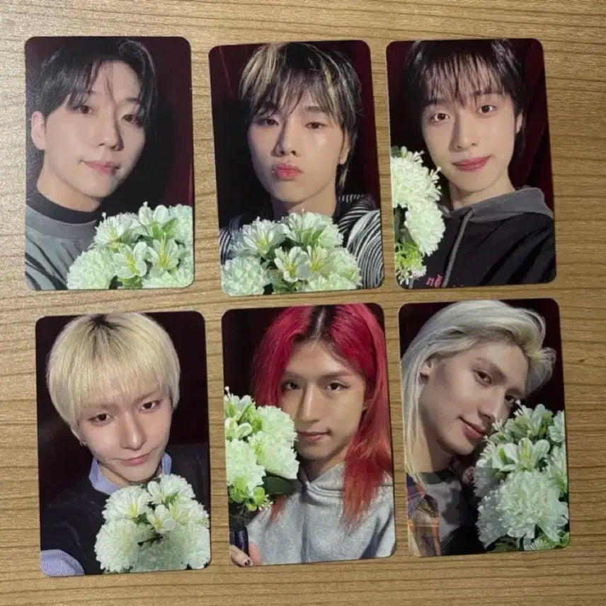 엑디즈 뷰마콘 5/4 중막콘 입장포카