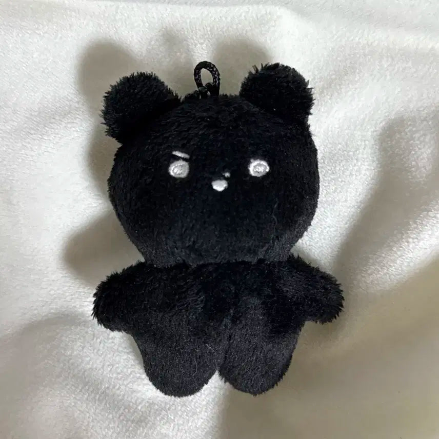 더보이즈 현재 제너레이션 인형 양도