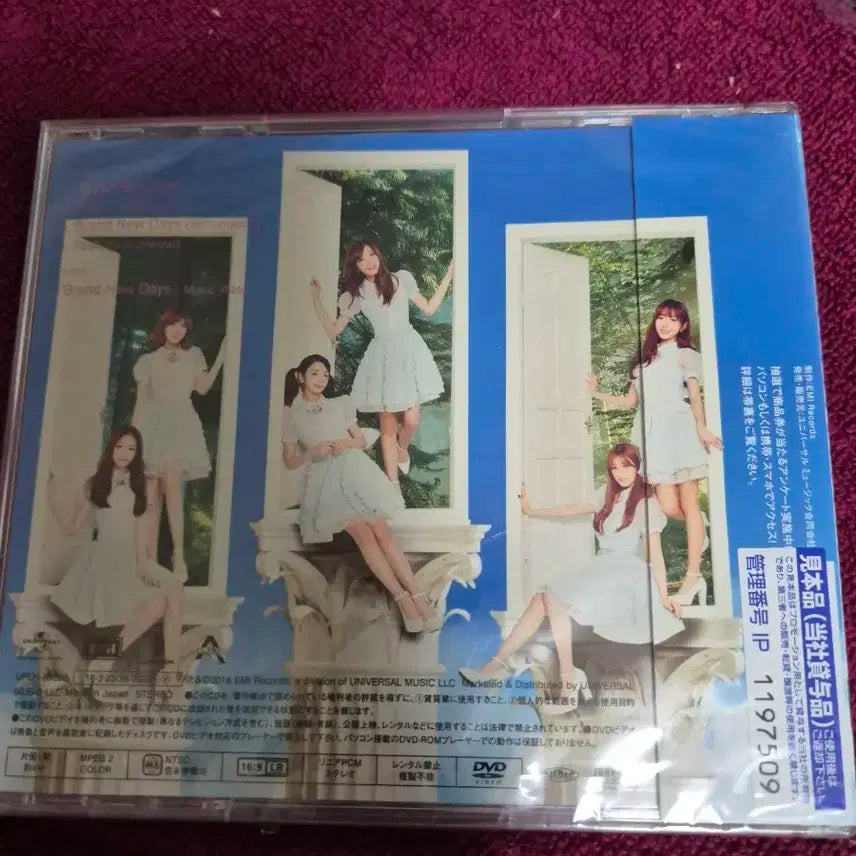 에이핑크 일본반 음반시디 미개봉품