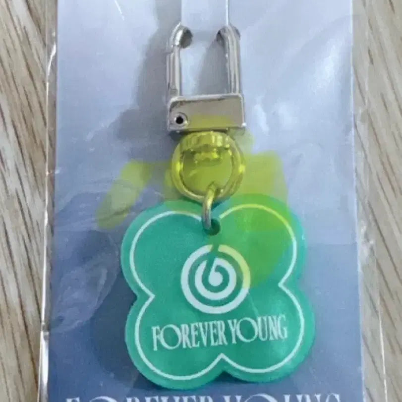 데이식스 전투 대전 키링