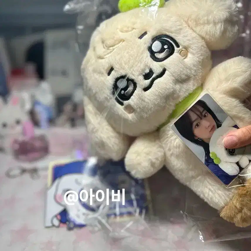 아이브 스쿨 팝업 30cm 강안지 인형 + 포카