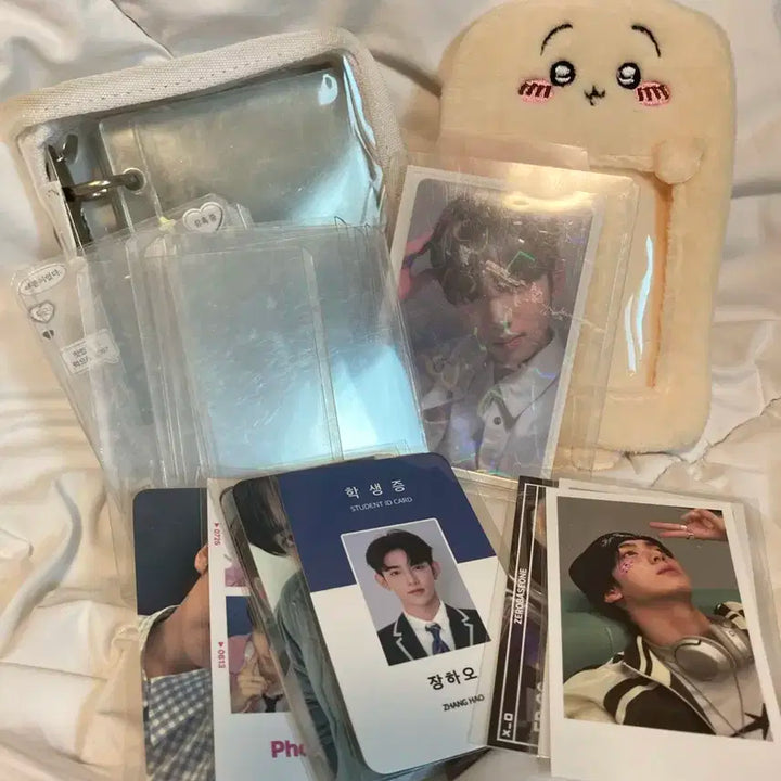 사진에 있는거 다 드려요) 제베원 한유진 강아지귀 위드뮤 럭드 유스인더쉐