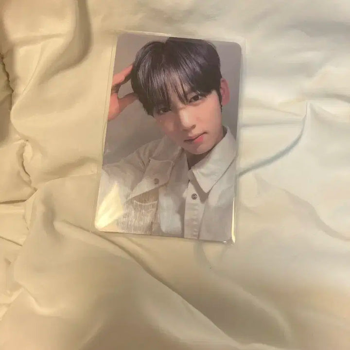 사진에 있는거 다 드려요) 제베원 한유진 강아지귀 위드뮤 럭드 유스인더쉐