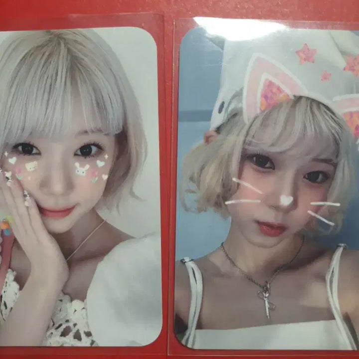 유니스 코토코 SWICY 공방포카