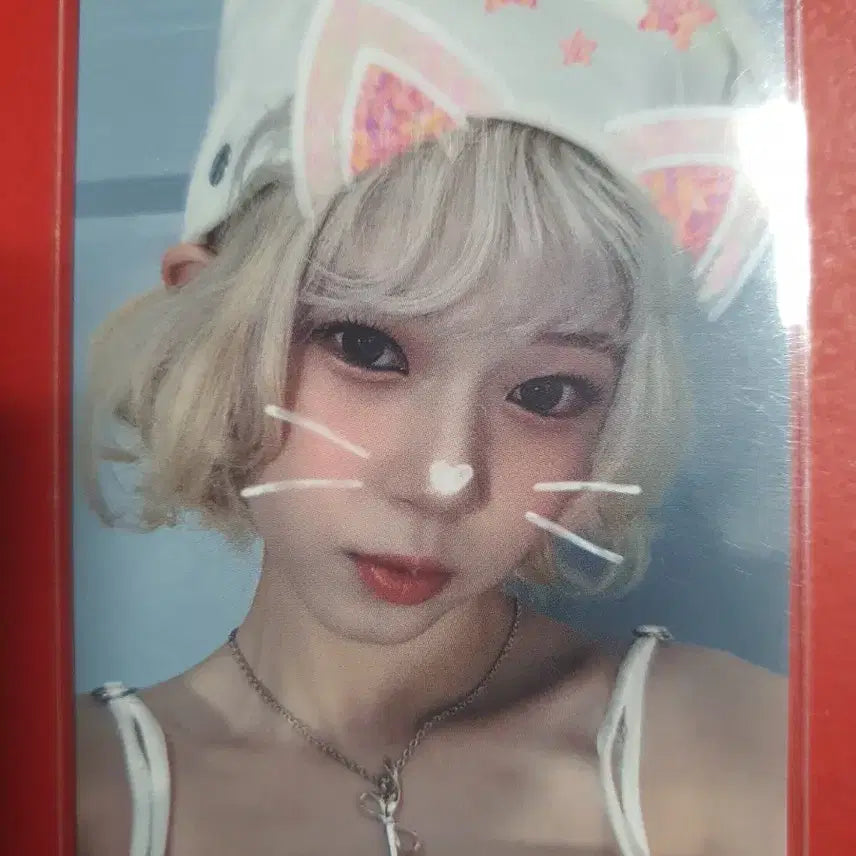 유니스 코토코 SWICY 공방포카