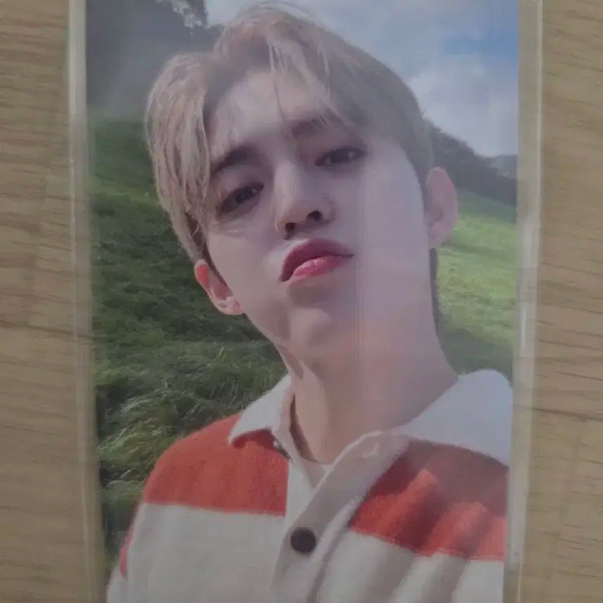 세븐틴 승철포카