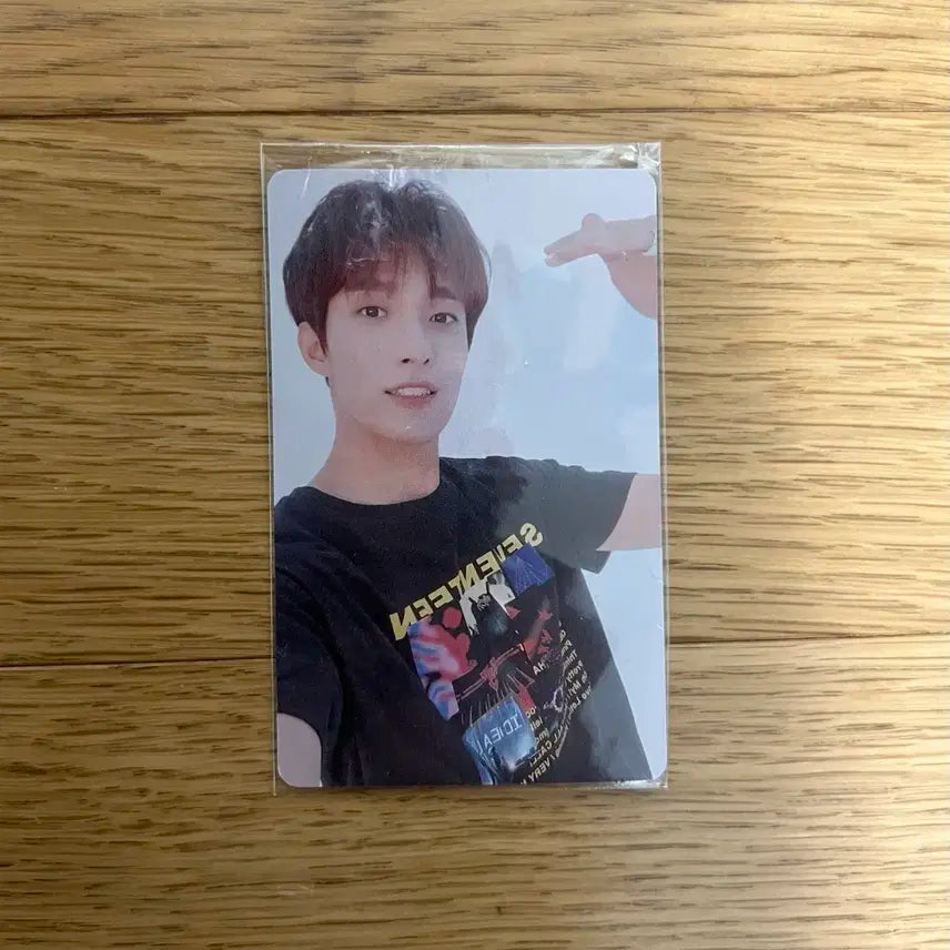 세븐틴 도겸 조조타운 zozotown 일본 포카 양도
