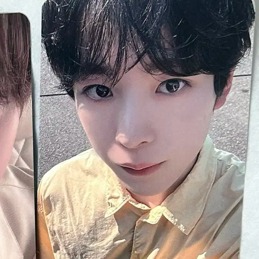 엔시티위시 nctwish 팝팝 디마뮤 디어마이뮤즈 유우시 포카 미공포