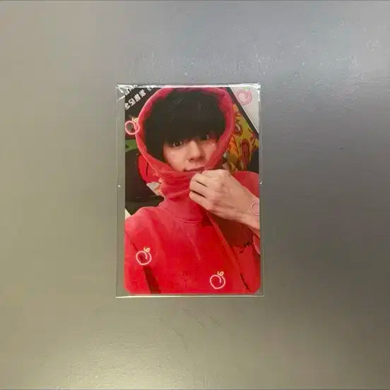 핫소스 제노 포카