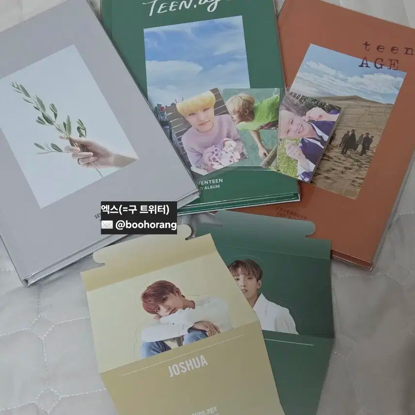 세븐틴 박수앨범+ 박수 호시 포카 일괄 양도(박화홋,박그홋,박오홋)