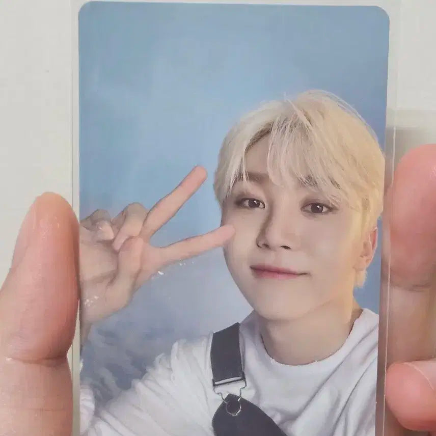 세븐틴 승관 드림 캐럿반 일본 포카