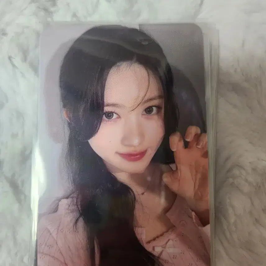 아이브 가을 미니브스쿨 팝업 7만원 특전