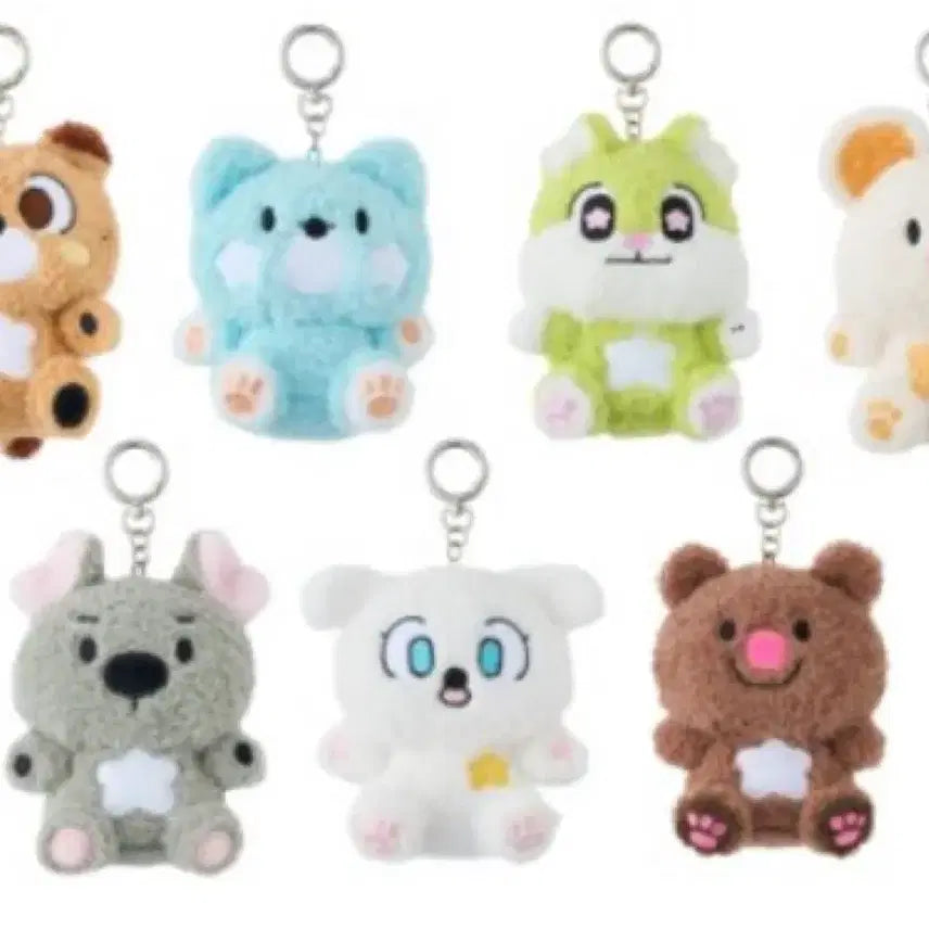 이브니즈 뽀룽이