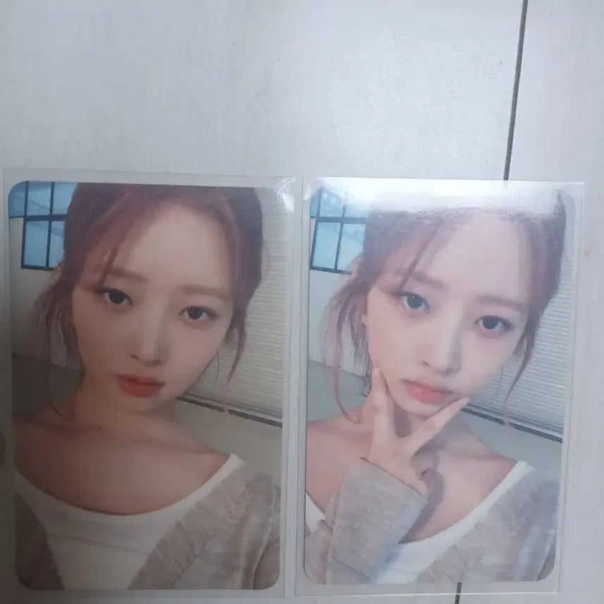 마인 레이 포토카드