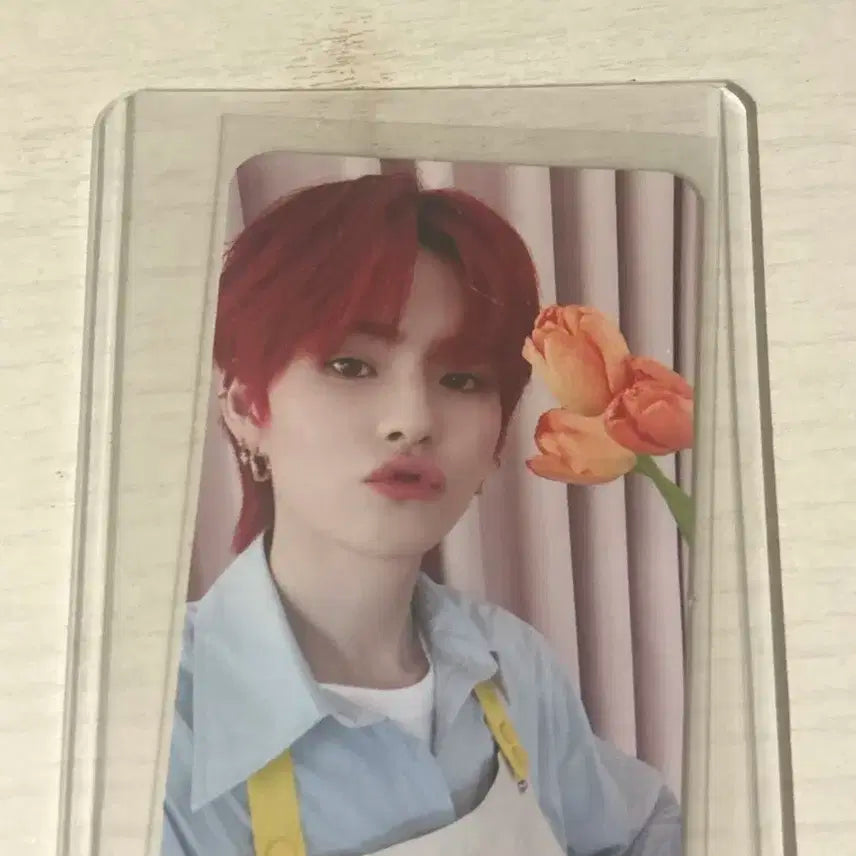 트레저 요시 블루밍 포카