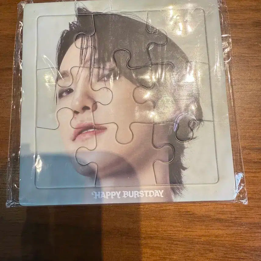 세븐틴 퍼즐 디노