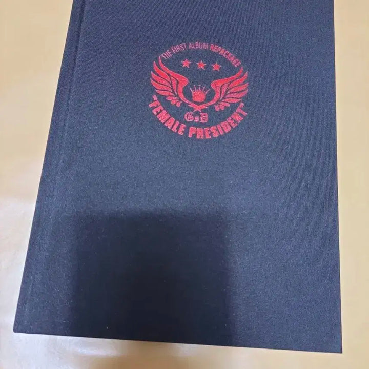 걸스데이 리패키지앨범 여자대통령