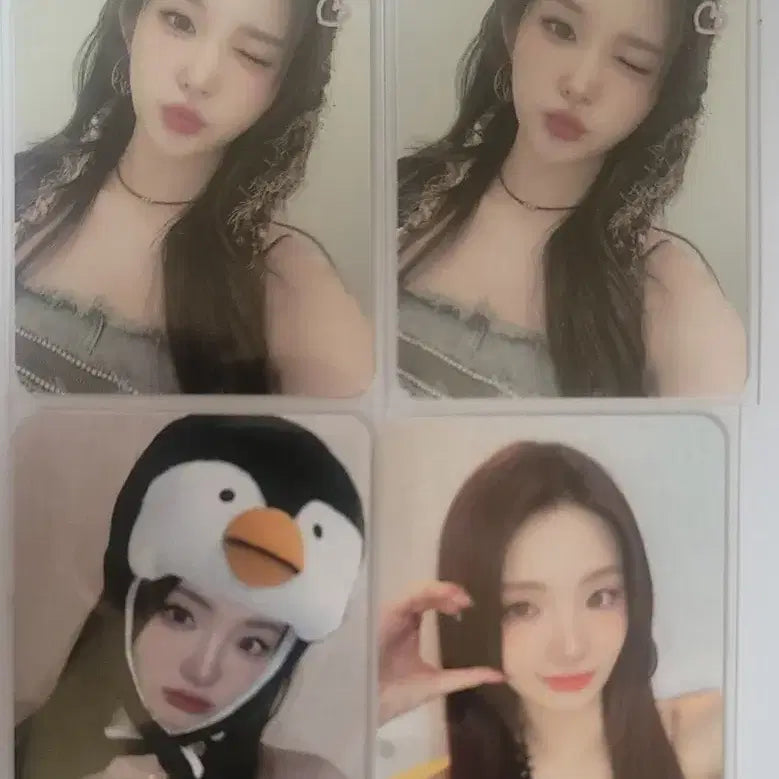 트라이비 켈리 송선 공방 포토카드 양도