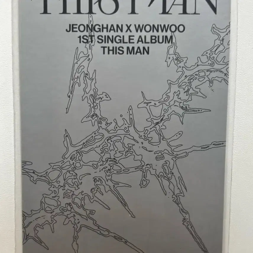 세븐틴 디스맨 정한,원우 포카 양도