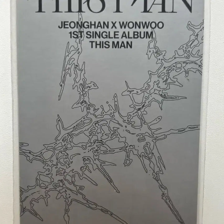 세븐틴 디스맨 정한,원우 포카 양도