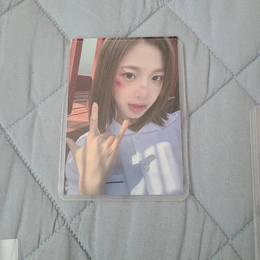 트리플에스 니엔 후즈팬카페 엽서