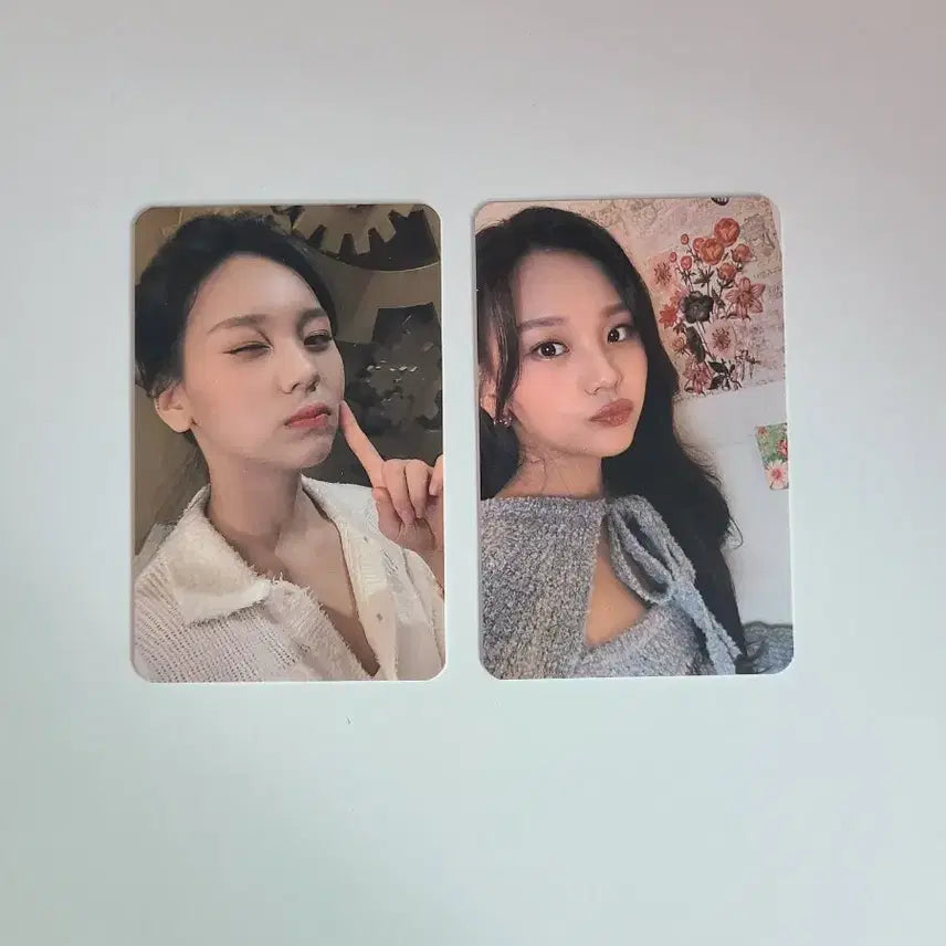 비비지 엄지 나비 키트 포토카드 포카