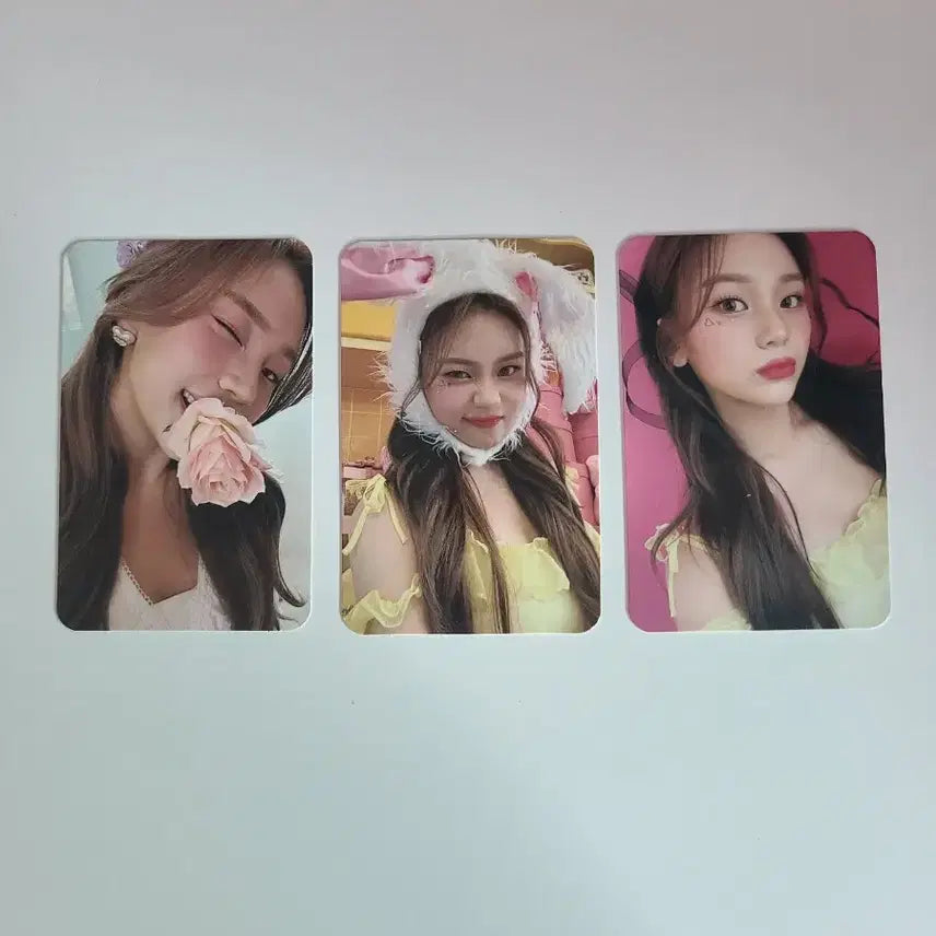 비비지 엄지 나비 키트 포토카드 포카
