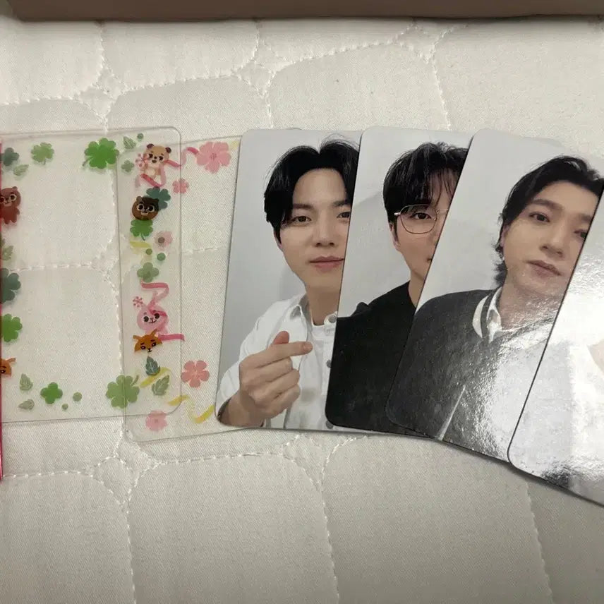 데이식스 벚꽃콘 포카 일괄 양도