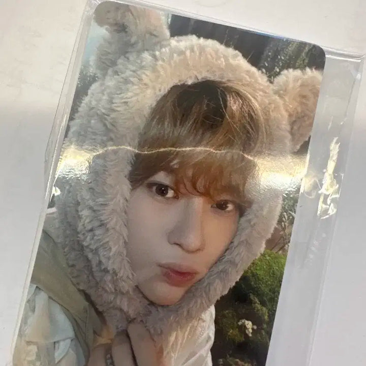 NCT WISH 위시 일본 멤버쉽 포카 미개봉 일괄