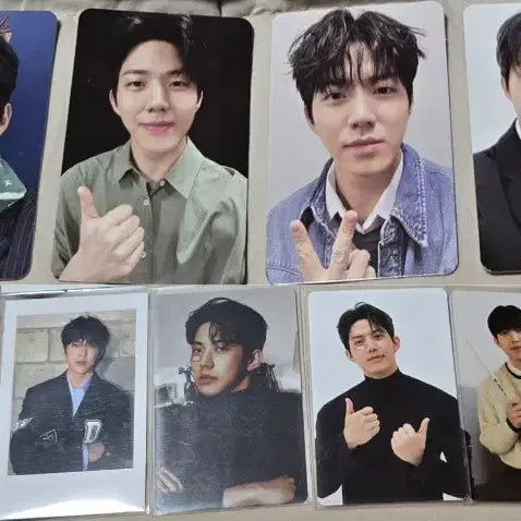데이식스 도운 포카 일괄