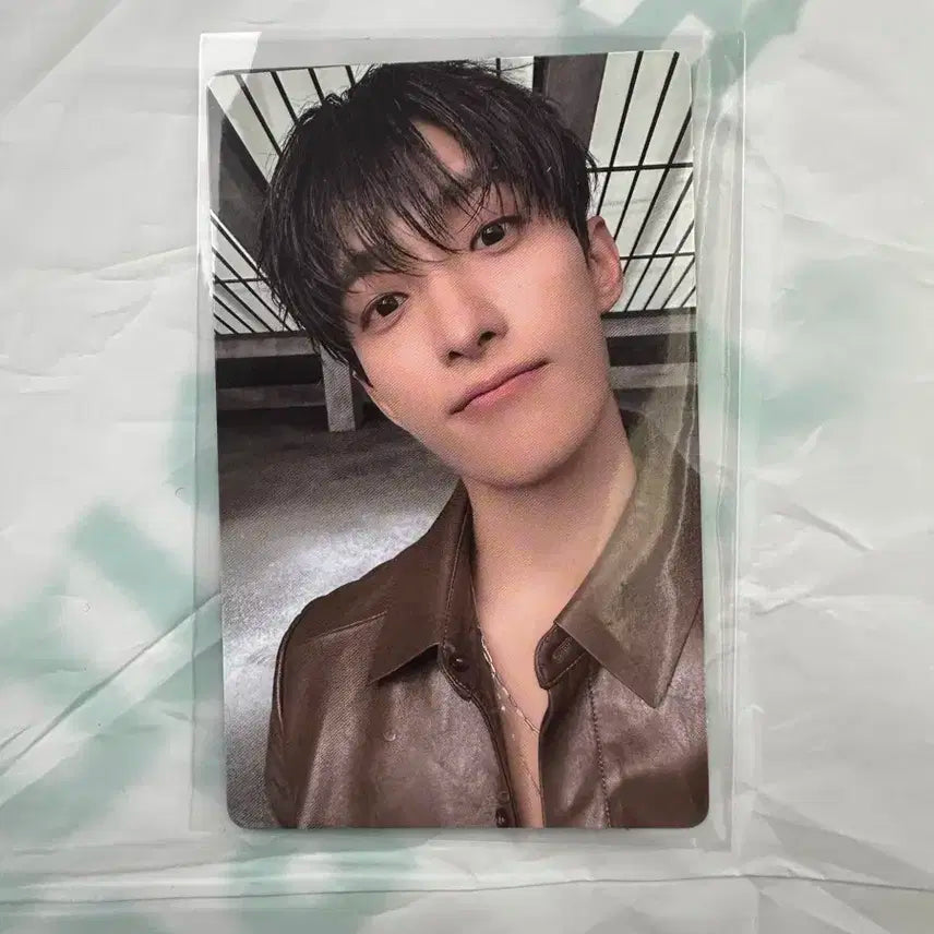 세븐틴 럭드 2차 위버스 도겸 양도
