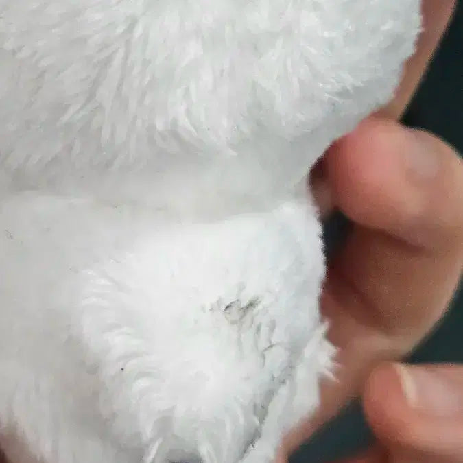 방탄소년단 정국 인형 꾸꾸꾸