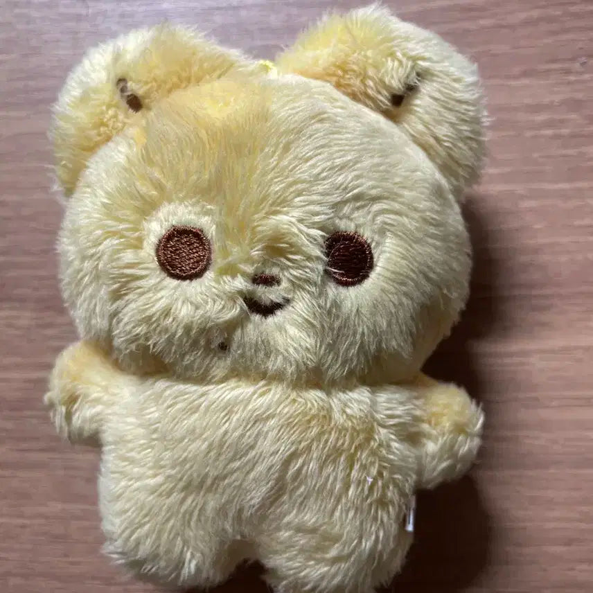 엔시티 지성 인형 급처