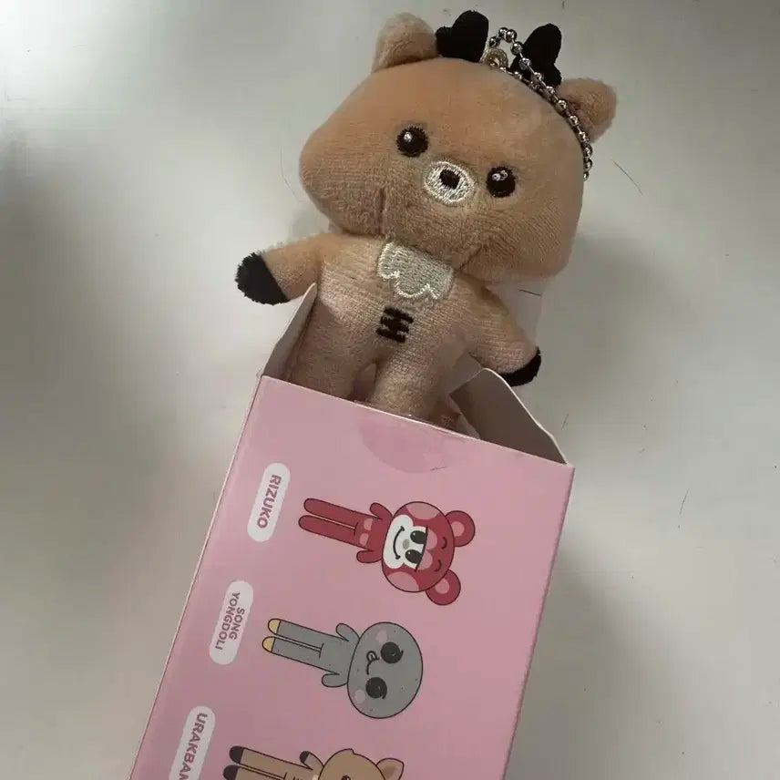 RIIZE ソンチャン セット ウラクバム ユニバ ラキドロ Amazon.co.jp: ソンチャン ラキドロ ユニバ RIIZE ライズ : おもちゃ