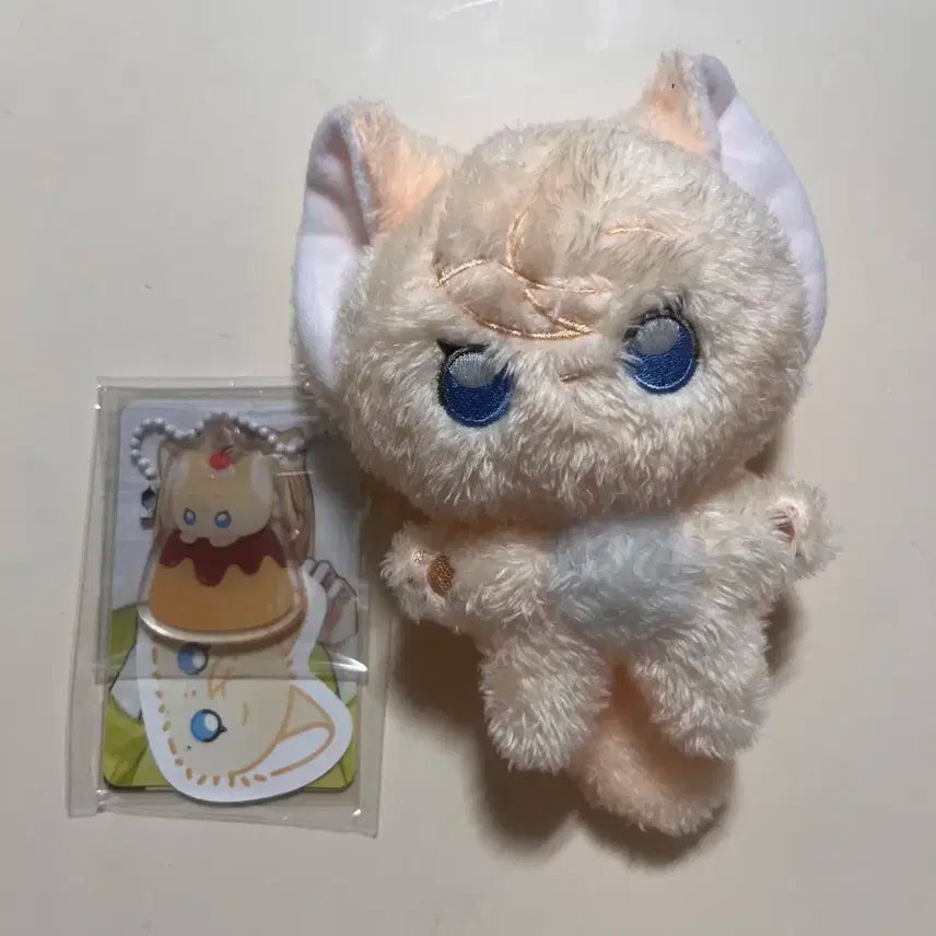 치노미 플레이브 노아 비공식 인형