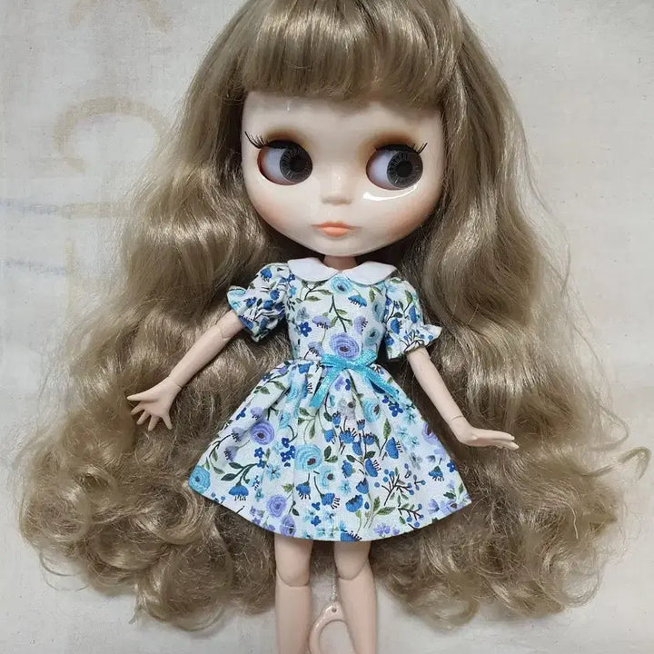 브라이스의상 일괄