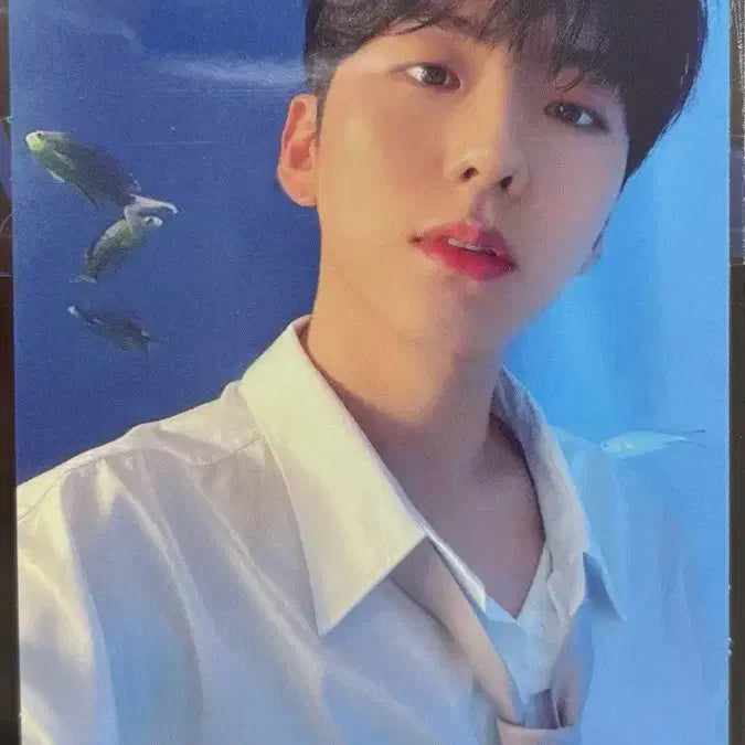 몬스타엑스 기현 포카