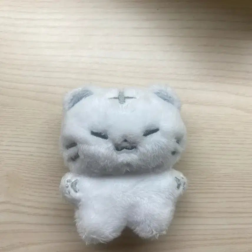 호시 인형 호찌 양도